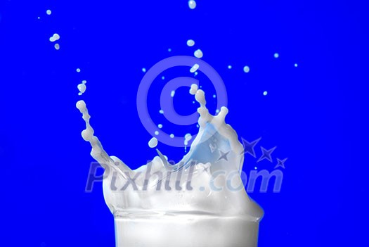 Milk splash isolated on blue