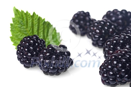 blackberry with green leaf isolated on white blackberry with green leaf isolated on white