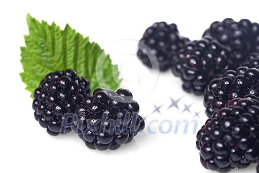 blackberry with green leaf isolated on white