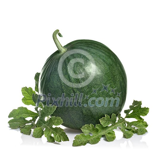 watermelon with leaves isolated on white