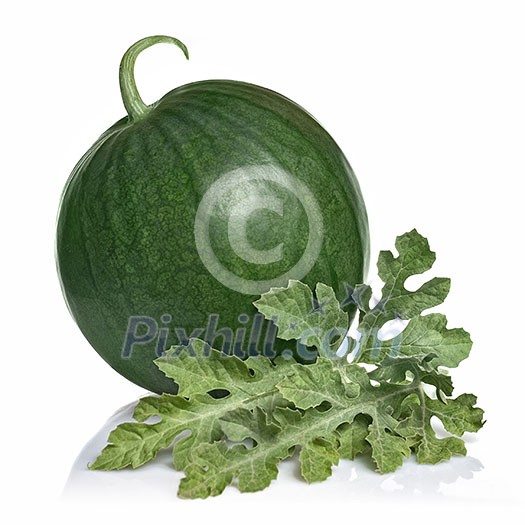 watermelon with leaves isolated on white