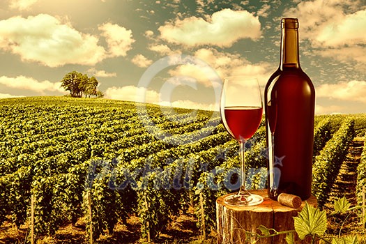 Glass and bottle of red wine against vineyard landscape Glass and bottle of red wine against vineyard landscape