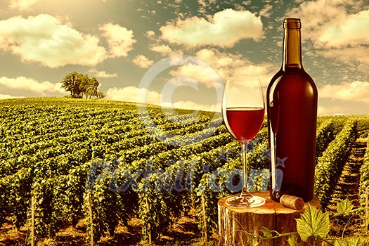 Glass and bottle of red wine against vineyard landscape