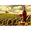 Glass and bottle of red wine against vineyard landscape