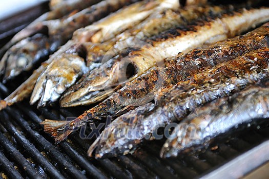 tasty sea food and fish on grill tasty sea food and fish on grill