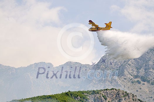 Airplane droping water on fire on island