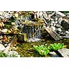 Natural stone pond as landscaping design element