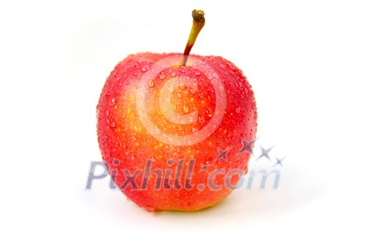 One red apple with water droplets on white background