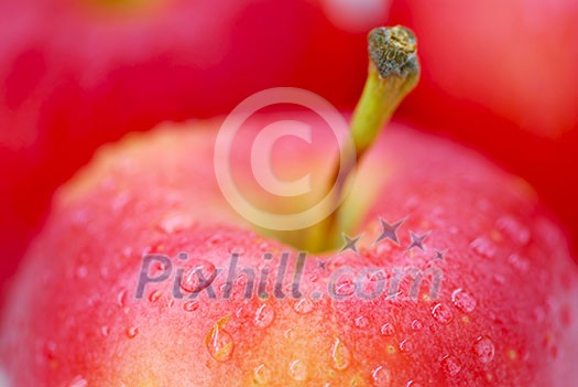 Macro of red apples with water droplets