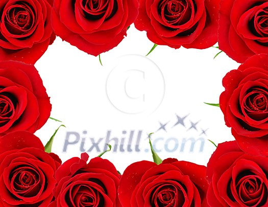 Red roses frame with white space for copy for Valentine's day