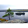 Scenic view of lake and island in Algonquin provincial park Ontario Canada from hill top