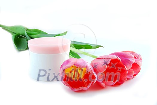 Pink tulips and cream on white background