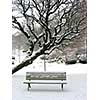 Winter bench in a park covered with snow, under a tree