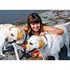 Portrait of a young pretty girl with two dogs on a beach