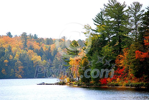 Lake and forest in the fall in northern Ontario Lake and forest in the fall in northern Ontario