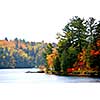 Lake and forest in the fall in northern Ontario