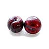 Two purple plums on white background