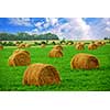 Agricultural landscape of hay bales in a field