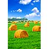Agricultural landscape of hay bales in a green field