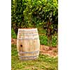 Old wine barrel at vineyard