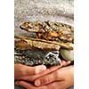 Child hands holding beach treasures collected on sea shore
