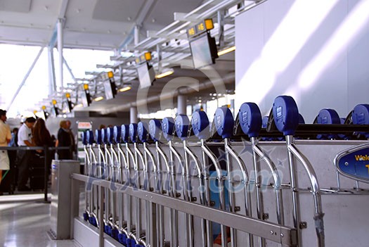 Luggage carts at modern international airport, passengers at check-in counter in the background