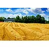 Farm field with yellow harvested grain and farmhouse