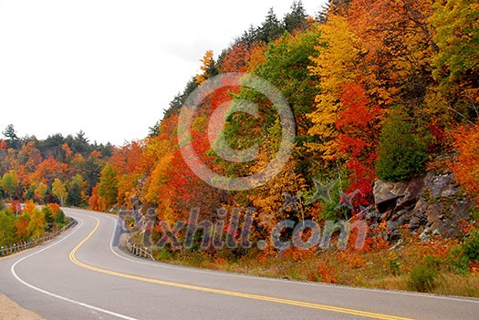 Fall highway in northern Ontario, Canada