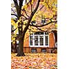 Residential house and tree in the fall