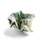 Crumpled one us dollar bill