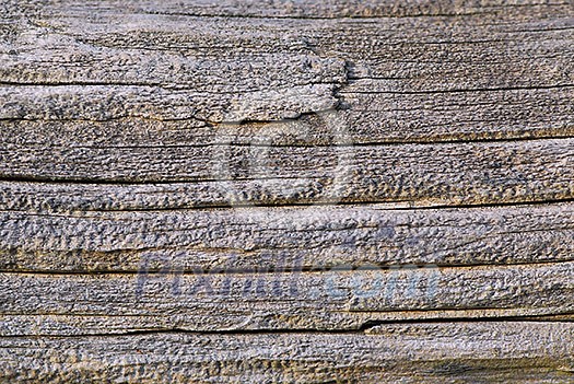 Background of old weathered wood close up Background of old weathered wood close up