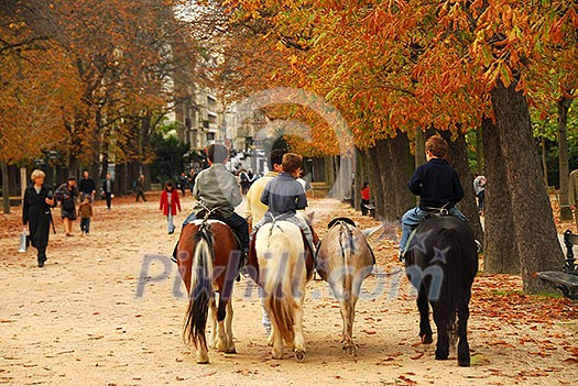 Children riding ponies in Jardins du Luxembourg (Luxembourg gardens) in Paris France