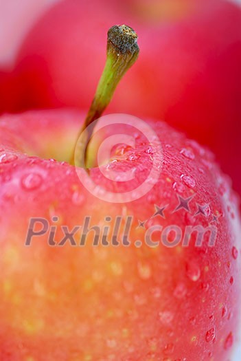 Macro of red apples with water droplets
