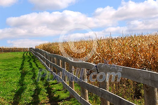 Rural landscape with blue cloudy sky and wooden fence