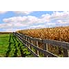 Rural landscape with blue cloudy sky and wooden fence