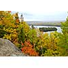 Scenic view of autumn forest and hills in Algonquin provincial park Ontario Canada