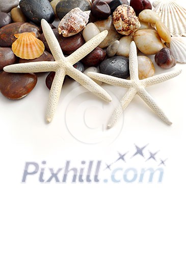 Starfish, pebbles and seashells on white background