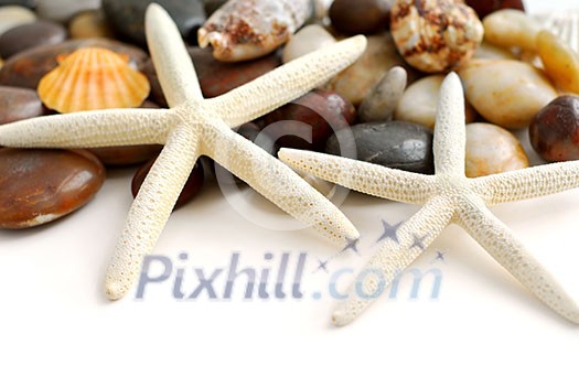 Starfish, pebbles and seashells on white background