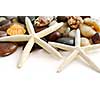 Starfish, pebbles and seashells on white background