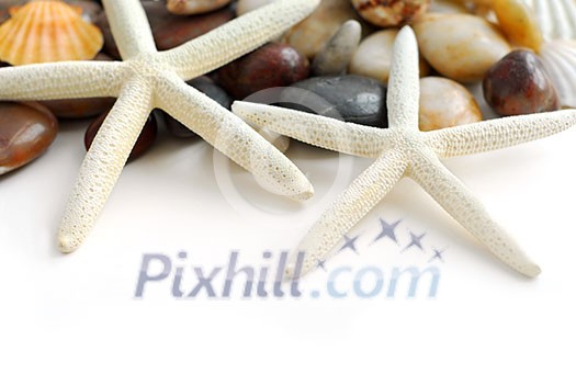 Starfish, pebbles and seashells on white background Starfish, pebbles and seashells on white background