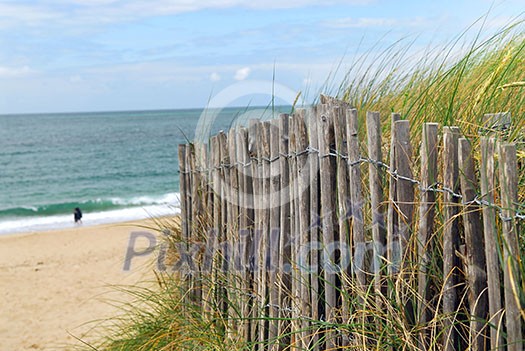 Ocean with sandy beach and wooden fence