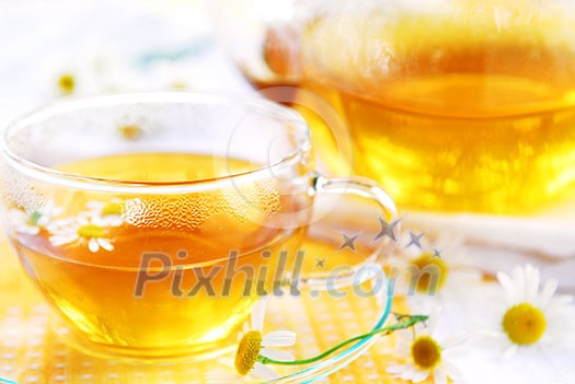 A teacup and a teapot with herbal camomile tea A teacup and a teapot with herbal camomile tea