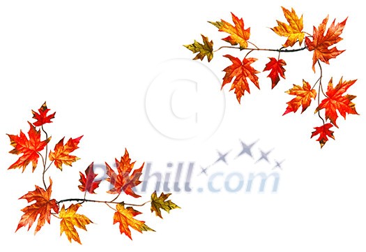 Framed background with red fall maple leaves