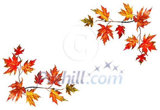 Framed background with red fall maple leaves Framed background with red fall maple leaves