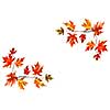 Framed background with red fall maple leaves