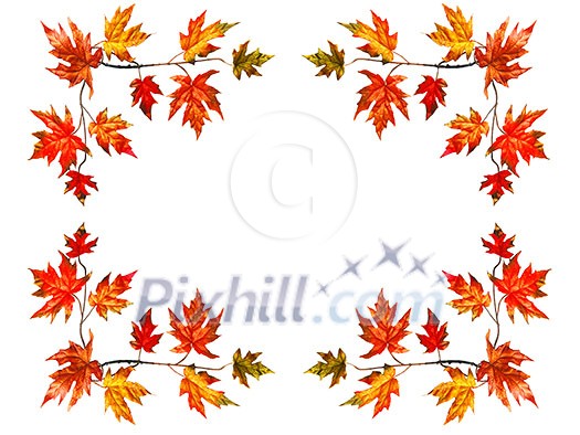 Frame background with red fall maple leaves