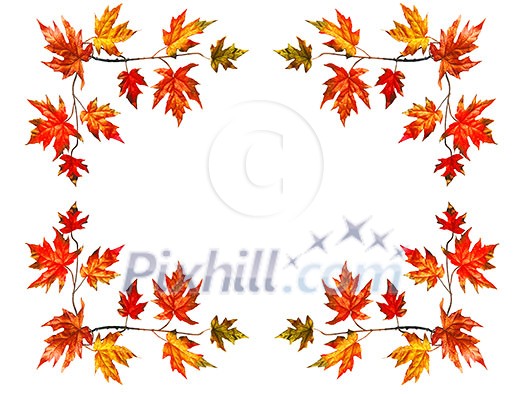 Frame background with red fall maple leaves Frame background with red fall maple leaves