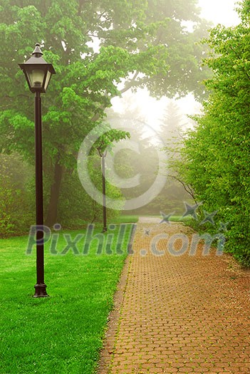 Path in a green foggy park in the spring