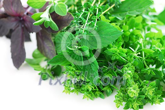 Bunch of fresh assorted herbs on white background Bunch of fresh assorted herbs on white background