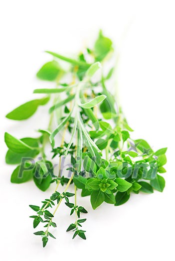 Bunch of fresh assorted herbs on white background (basil, thyme, oregano, rosemary)